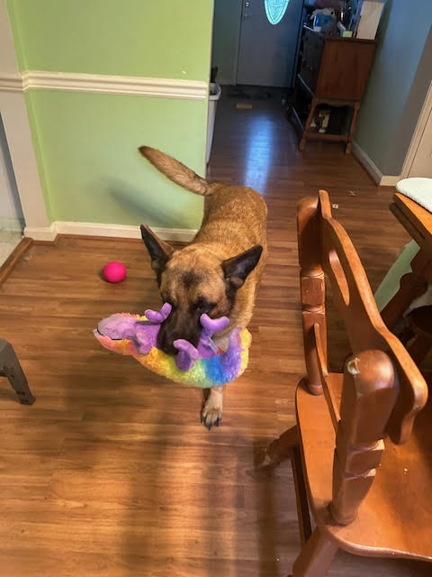 BAILEY GIRL!!